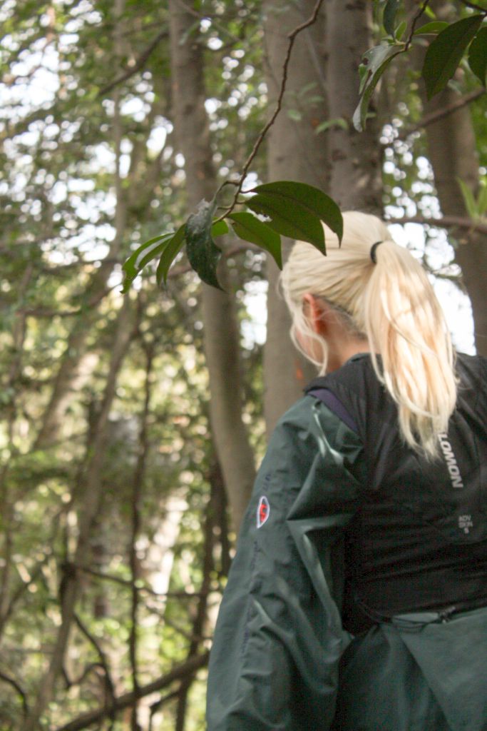 森の中で木漏れ日